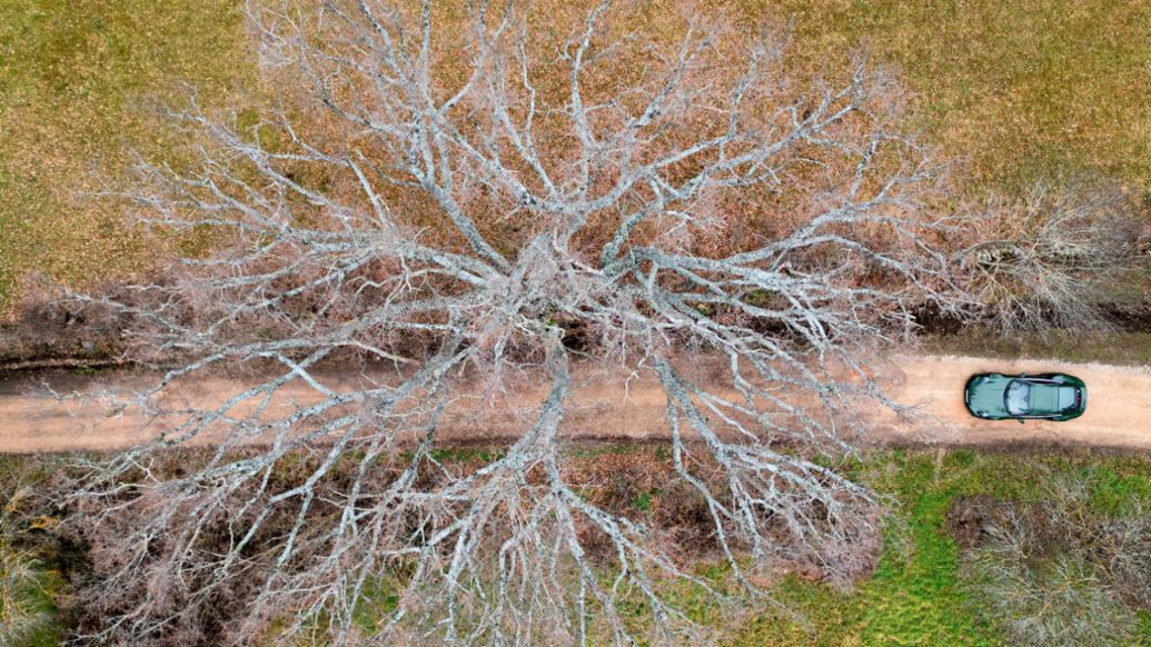 Porsche 911 Cuarenta Edition, Espa&ntilde;a, 2025, Porsche Ib&eacute;rica