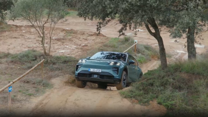 Cayenne Electric Highlight Clip